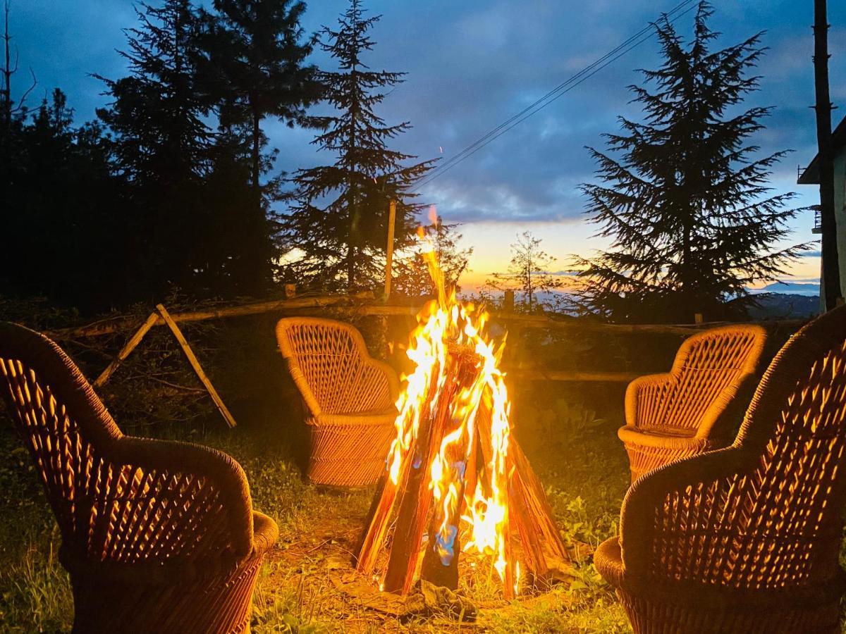Aachman Nature Valley Resort Шимла Экстерьер фото